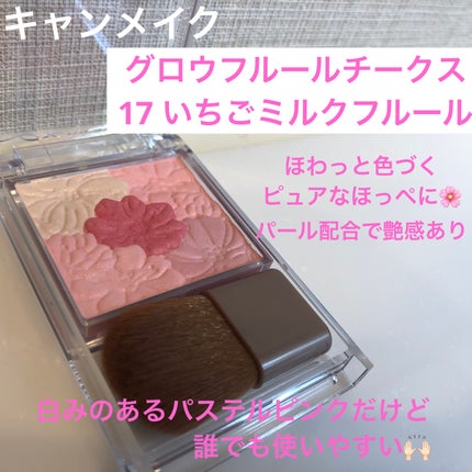 グロウフルールチークス/キャンメイク/パウダーチークを使ったクチコミ(1枚目)