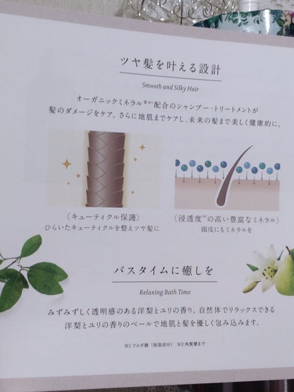 スカルプD ボーテ ナチュラスター スカルプシャンプー/トリートメントパック/アンファー(スカルプD)/シャンプー・コンディショナーを使ったクチコミ(6枚目)