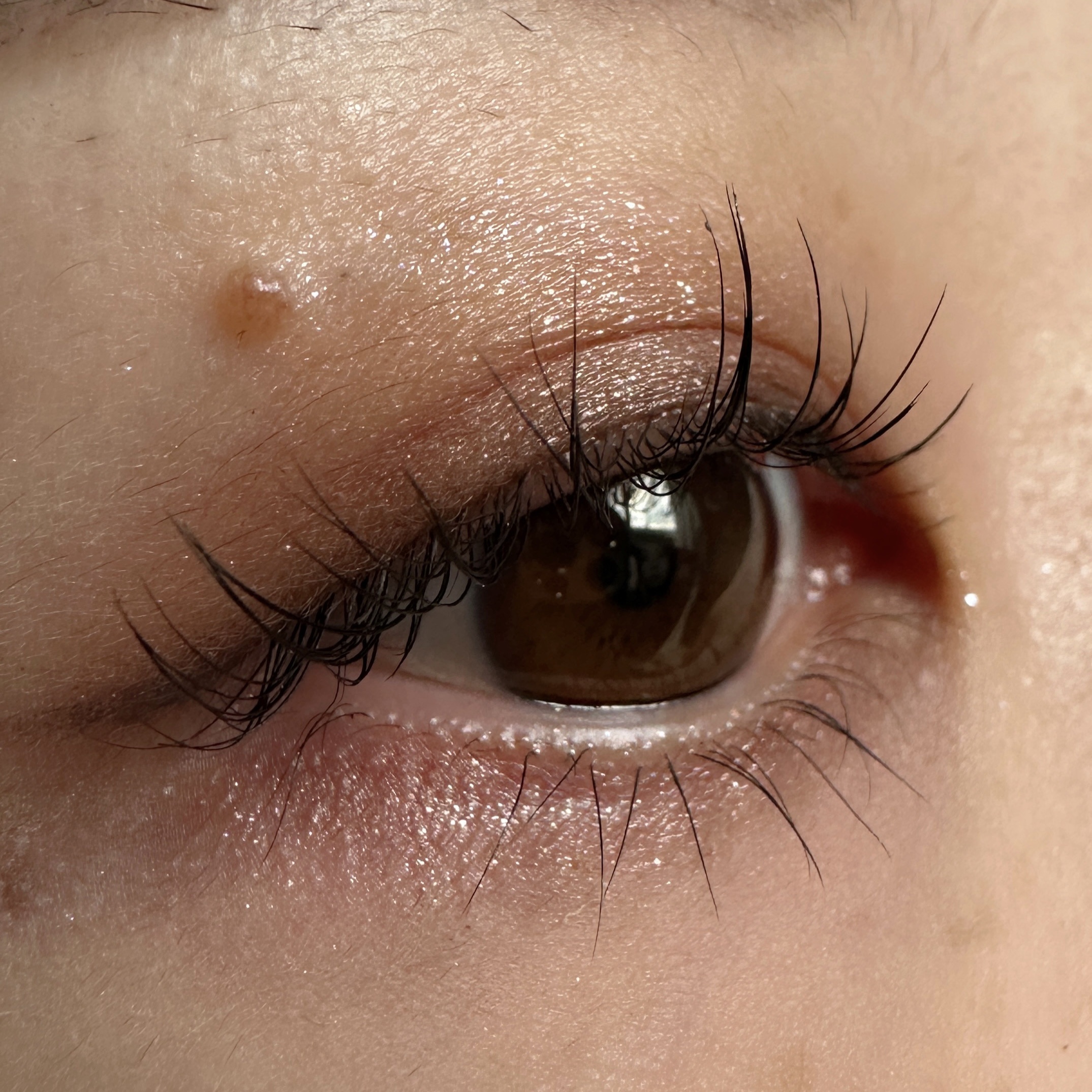 アイラッシュブラックコーティング/GLAMORIZE/マスカラを使ったクチコミ（2枚目）