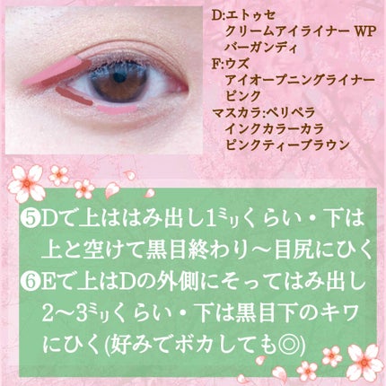 クリームアイライナー WP/ettusais/ペンシルアイライナーを使ったクチコミ(3枚目)