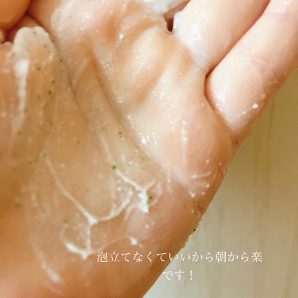 フェイスポリッシャー ピュリファイング/SABON/スクラブ・ゴマージュを使ったクチコミ(5枚目)