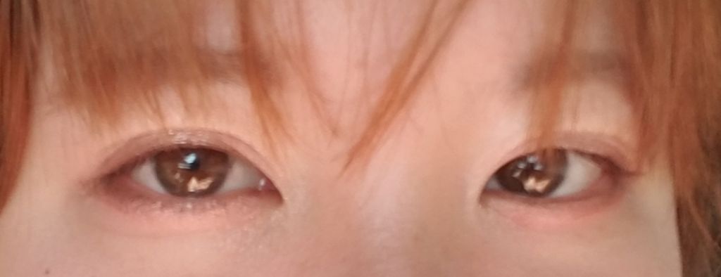 グロッシーリッチ アイズ/Visée/アイシャドウパレットを使ったクチコミ(2枚目)