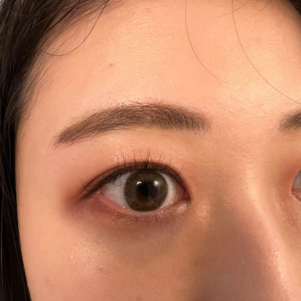 シルキースフレアイズ(マットタイプ)/キャンメイク/アイシャドウパレットを使ったクチコミ(2枚目)