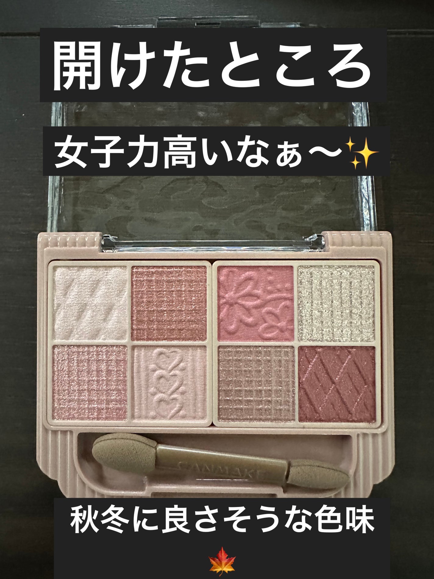 プティパレットアイズ/キャンメイク/パウダーアイシャドウを使ったクチコミ(2枚目)