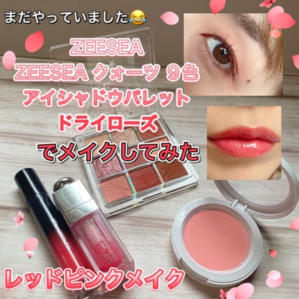 ラック シュプリア/shu uemura/リップグロスを使ったクチコミ(1枚目)