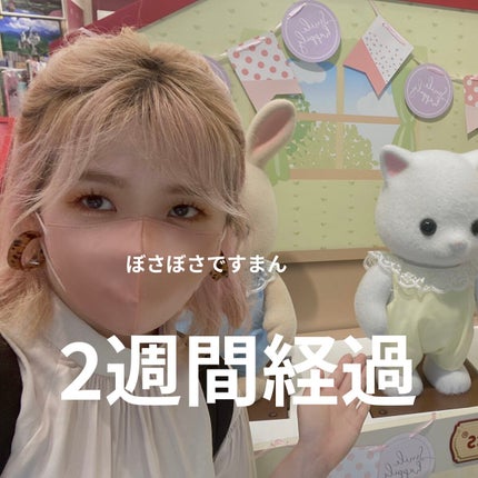 エンシェールズカラーバター/エンシェールズ/ヘアカラーを使ったクチコミ(4枚目)