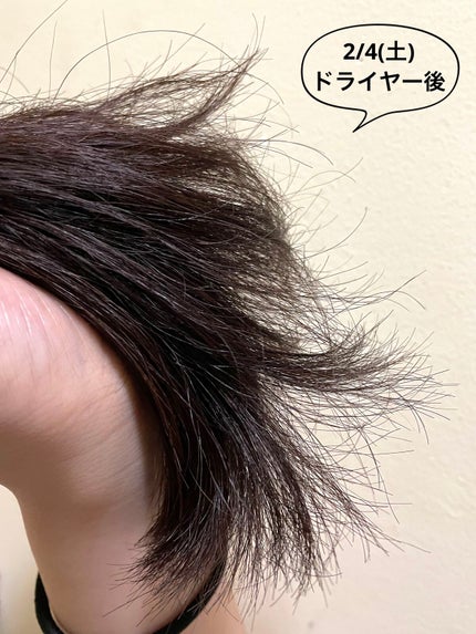 柳屋 あんず油/柳屋あんず油/ヘアオイルを使ったクチコミ(7枚目)