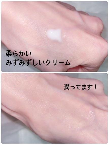 を使ったクチコミ(2枚目)