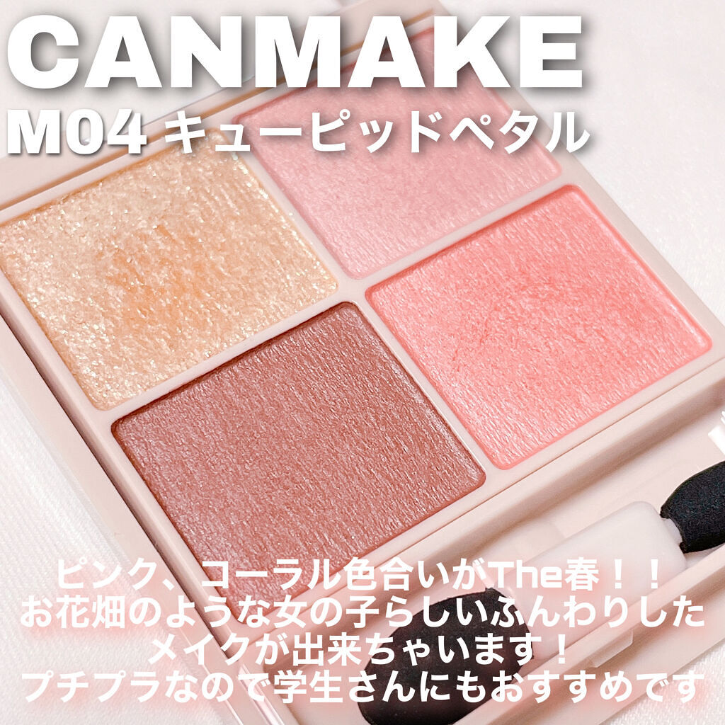 シルキースフレアイズ（マットタイプ）/キャンメイク/アイシャドウパレットを使ったクチコミ（3枚目）