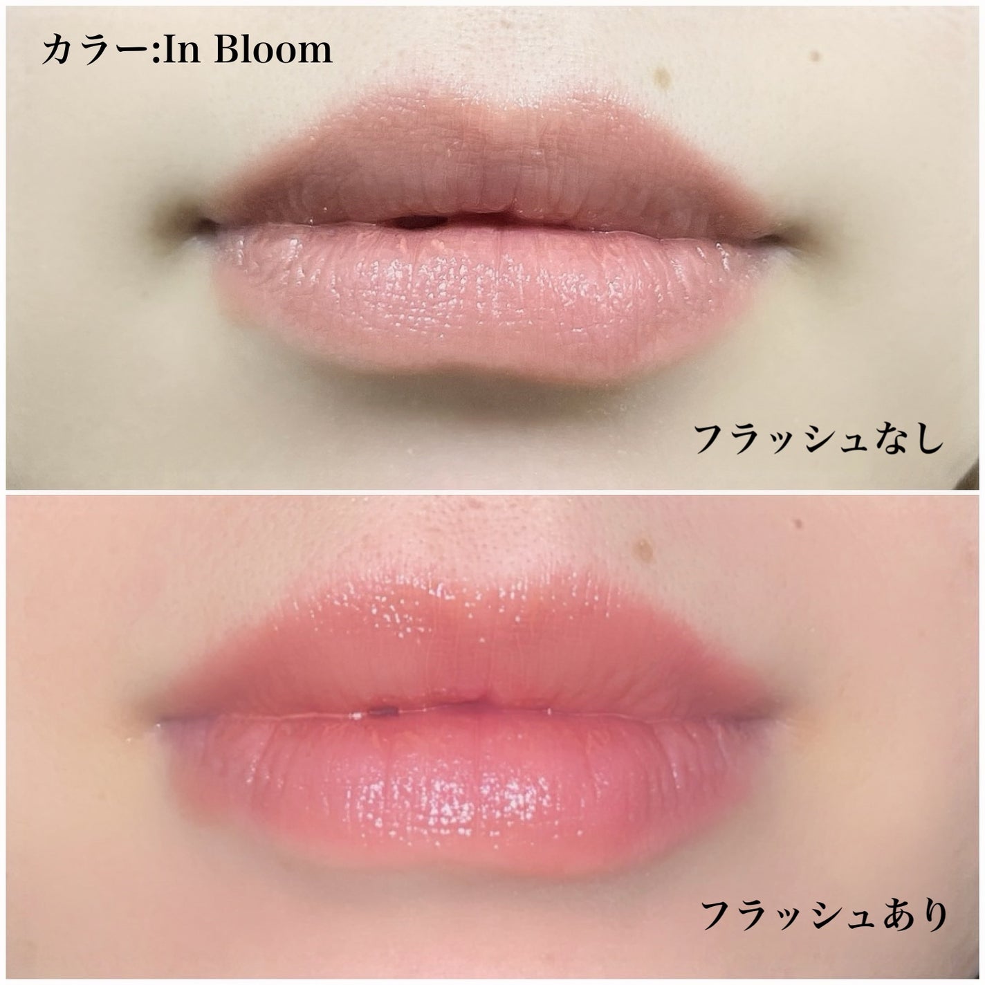 natsumi on LIPS 「SHEINのコスメ使ってみた💖💖SHEGLAM商品ID:132..」(4枚目)