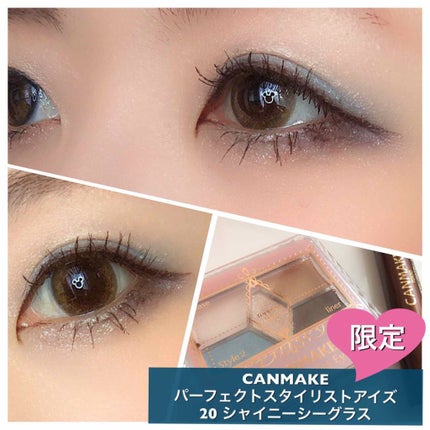 【旧品】パーフェクトスタイリストアイズ/キャンメイク/アイシャドウパレットを使ったクチコミ(1枚目)