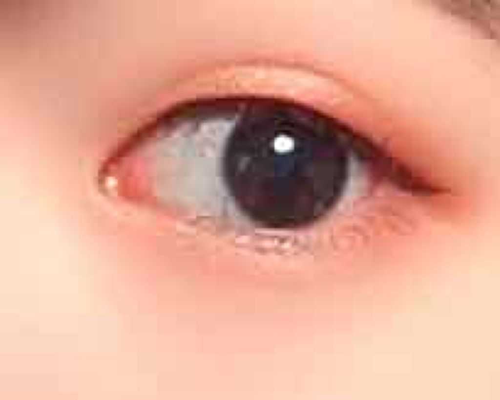 プレイカラー アイシャドウ/ETUDE/アイシャドウパレットを使ったクチコミ(2枚目)