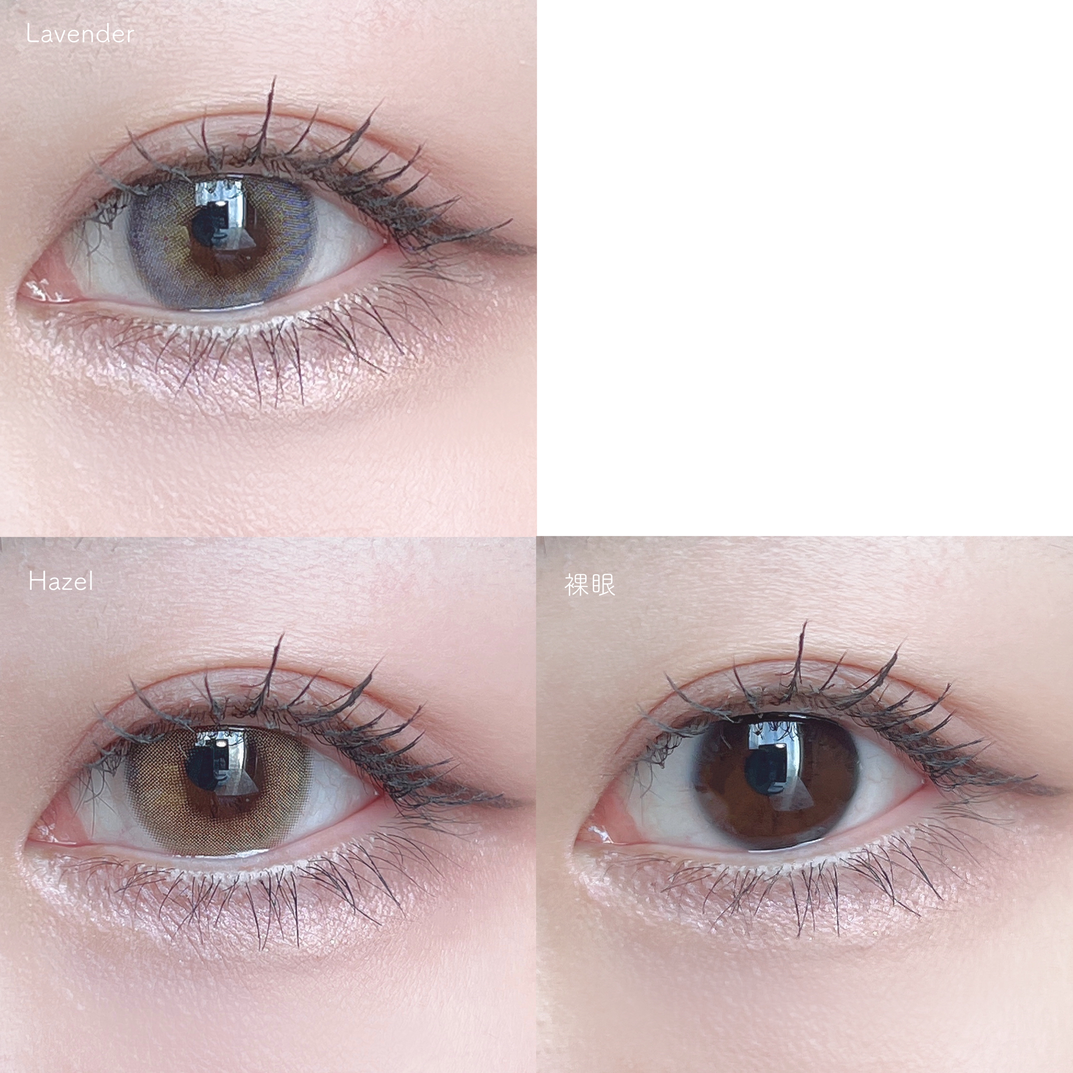 FrenchShine1day/OLENS/ワンデー（１DAY）カラコンを使ったクチコミ（3枚目）