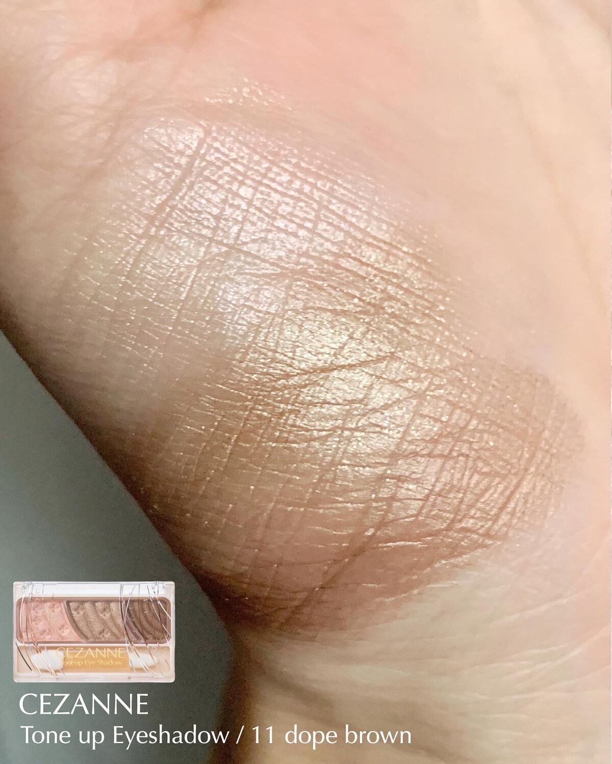 トーンアップアイシャドウ/CEZANNE/アイシャドウパレットを使ったクチコミ（3枚目）