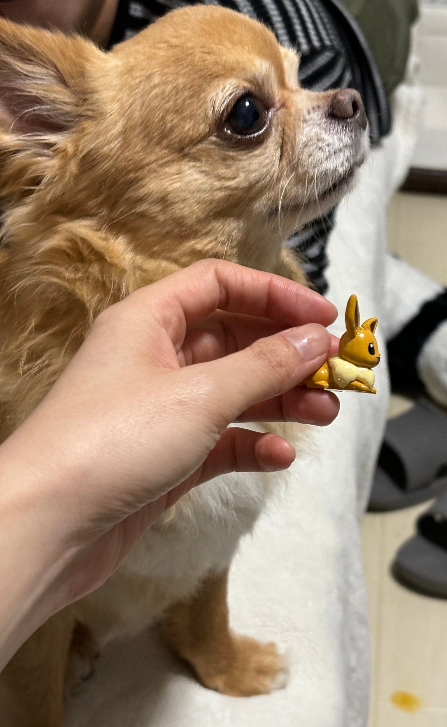 びっくら?たまご ポケットモンスター/バンダイ/入浴剤を使ったクチコミ(8枚目)