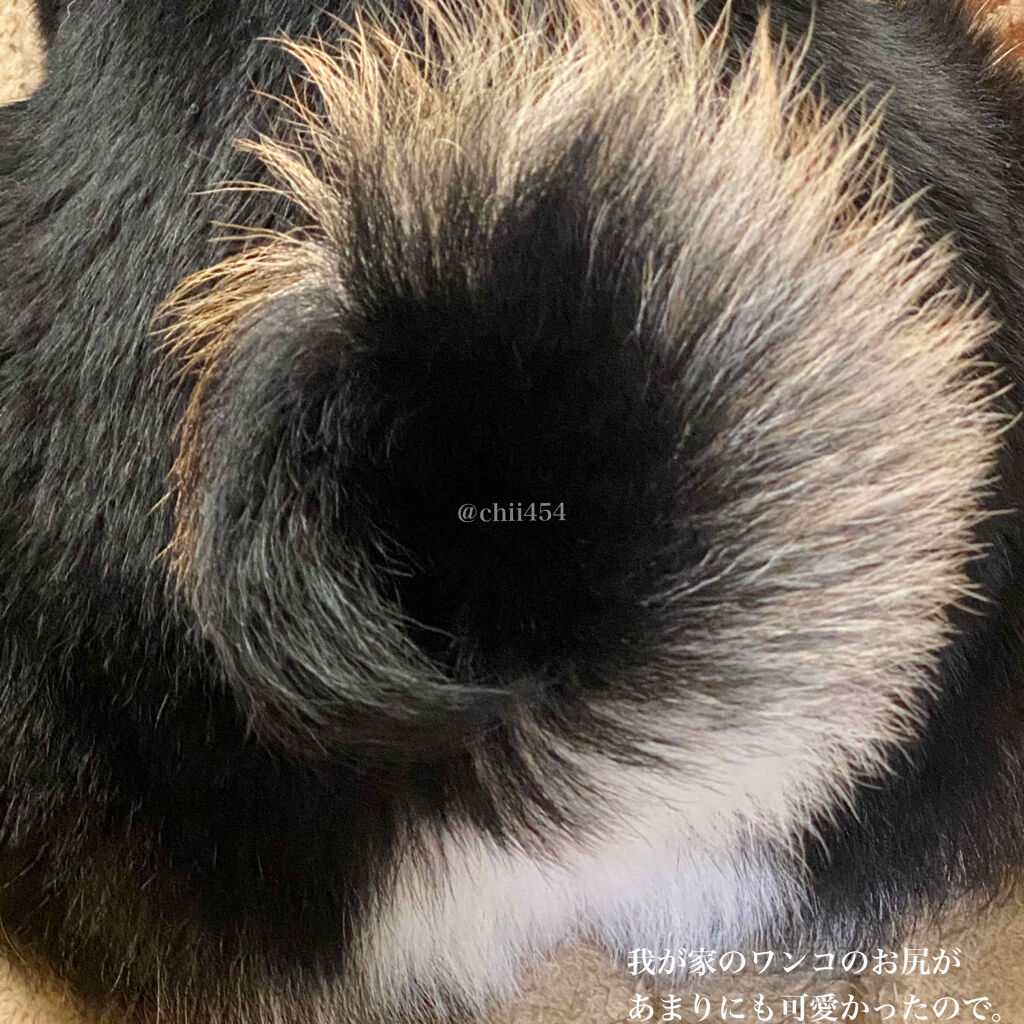 ローズボディーミルク 　ＲＸ/ばら園/ボディミルクを使ったクチコミ（2枚目）