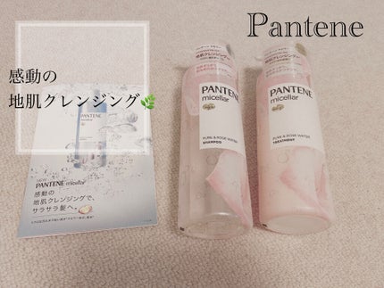 PRO-V ミセラー ピュア&クレンズ ノンシリコンシャンプー/トリートメント/パンテーン/市販シャンプーを使ったクチコミ(1枚目)