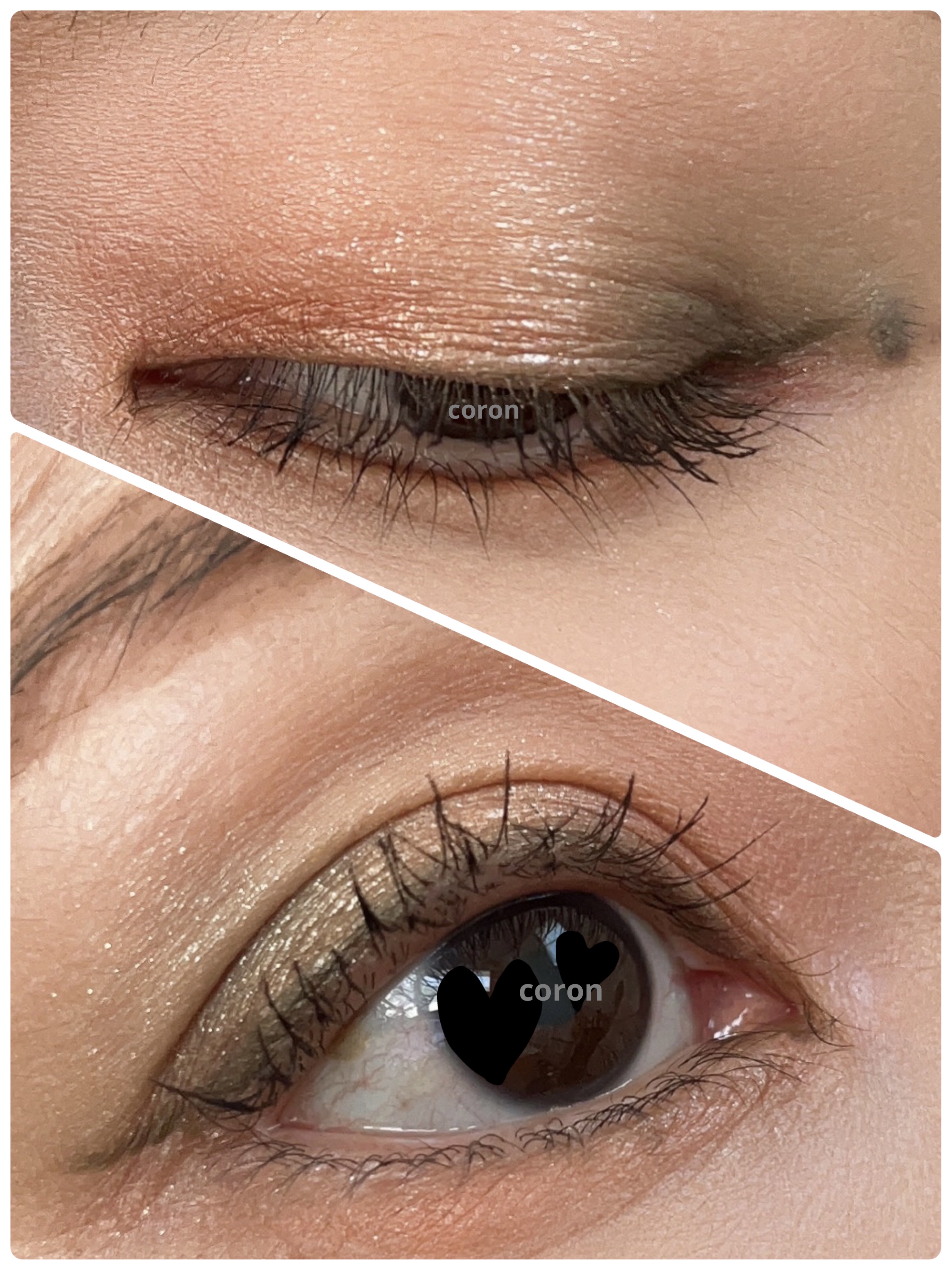 シグニチャー カラー アイズ/SUQQU/アイシャドウパレットを使ったクチコミ（2枚目）