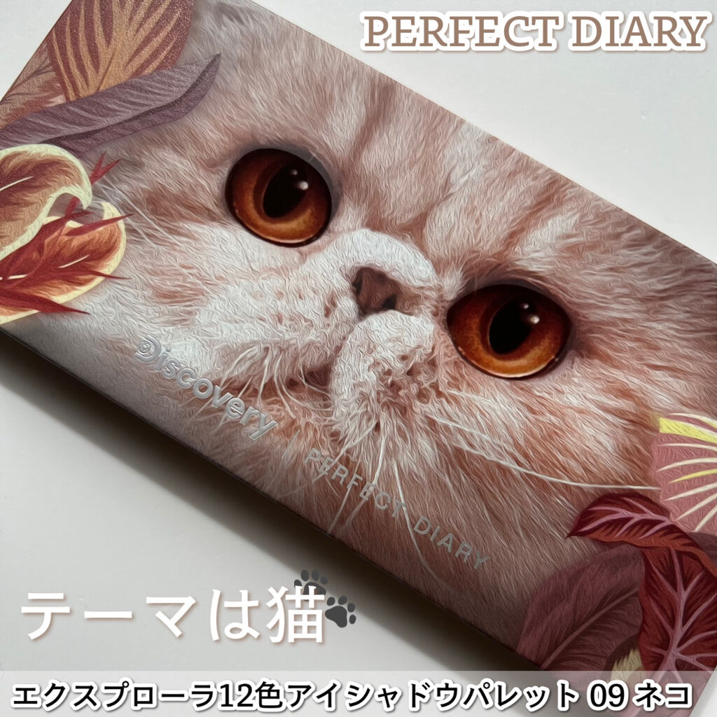 フィルム眉カラー/デジャヴュ/眉マスカラを使ったクチコミ（2枚目）