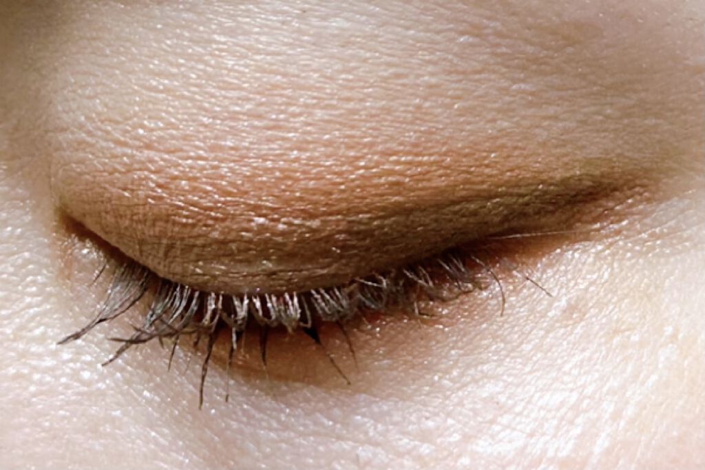 ショコラスウィート アイズ/リンメル ロンドン/アイシャドウパレットを使ったクチコミ（3枚目）