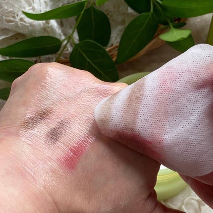 VEGIHI RESET CLEANSIG OIL PAD/VEGIHI/クレンジングシートを使ったクチコミ(4枚目)