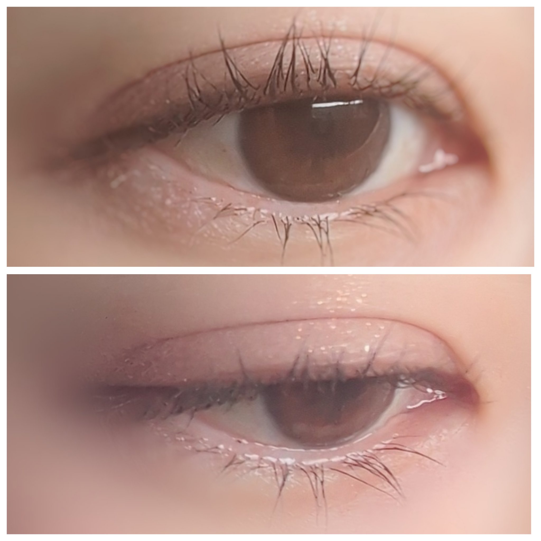 ブラーフィニシュブラッシャー 508 リトルオルコット/Dinto/パウダーチークを使ったクチコミ（1枚目）