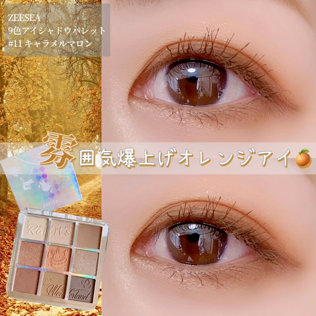 クォーツ 9色アイシャドウパレット(ドリームランドアイシャドウ)/ZEESEA/アイシャドウパレットを使ったクチコミ（1枚目）