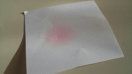 グロウフルールチークス/キャンメイク/パウダーチークを使ったクチコミ(2枚目)