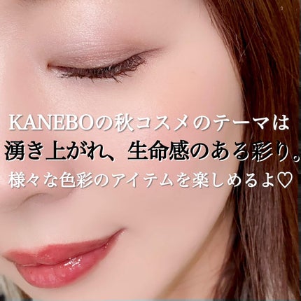 カネボウ アイカラーデュオ/KANEBO/アイシャドウパレットを使ったクチコミ(7枚目)