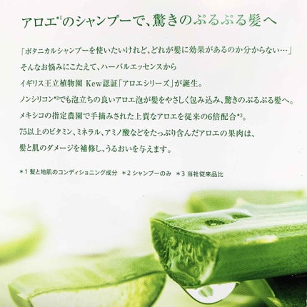 ビオリニュー アロエ&バンブー シャンプー/コンディショナー シャンプー/ハーバルエッセンス/市販シャンプーを使ったクチコミ(2枚目)