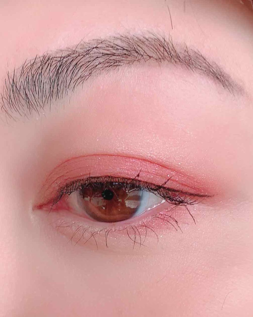 ナイストゥミーチュートランク/MAJOLICA MAJORCA/アイシャドウパレットを使ったクチコミ（3枚目）