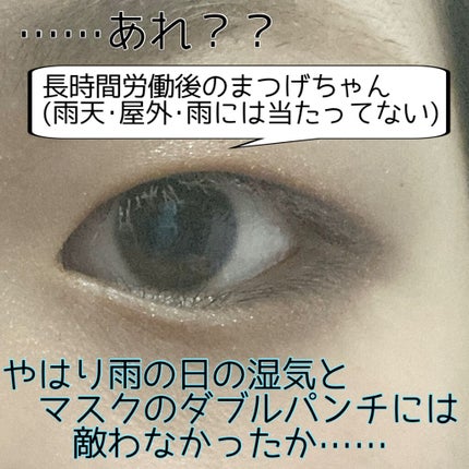 ミゼルエディ カールアップマスカラ/ミゼルエディ/マスカラを使ったクチコミ(3枚目)