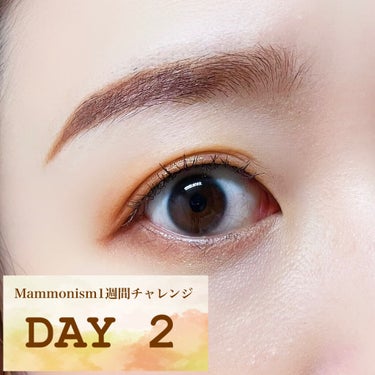 #Mammonism1週間チャレンジ
2日目🍁

今回は左下の赤みの強いオレンジをメインに使ってみました🙆‍♀️
この色はパレットで見ると赤だけど、瞼にのせると明るめの朱赤オレンジになります🍁赤ではなく