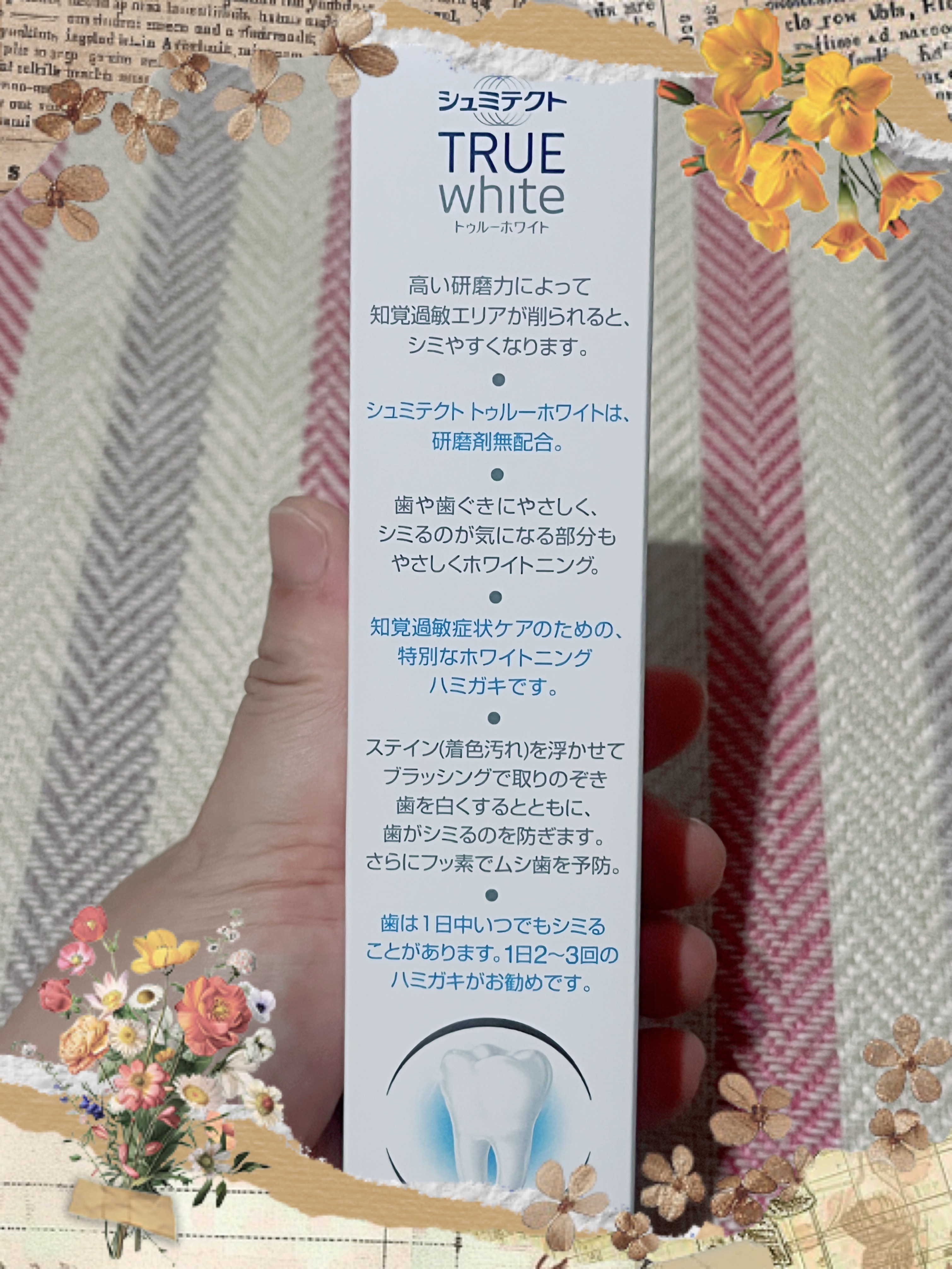 シュミテクト トゥルーホワイト/シュミテクト/歯磨き粉を使ったクチコミ（3枚目）