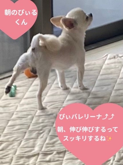 ニキビケア クリーミー泡洗顔料/ダヴ/泡洗顔を使ったクチコミ(4枚目)