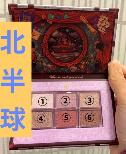 ナイストゥミーチュートランク/MAJOLICA MAJORCA/アイシャドウパレットを使ったクチコミ(4枚目)