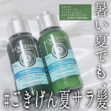 ファイブハーブス ピュアフレッシュネス シャンプー／コンディショナー/L'OCCITANE/シャンプー・コンディショナーを使ったクチコミ（1枚目）