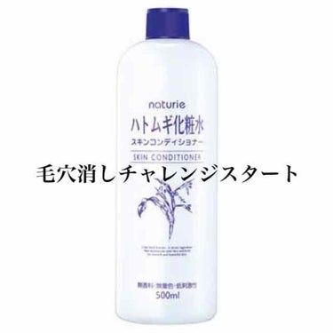 毛穴消しチャレンジスタートです。


わたしの鼻は「いちご鼻」「陥没毛穴」
で検索すればヒットする鼻そのものです。
（大変ショッキングな写真のため自粛させていただいています）

わたしは父親譲りの顔面の