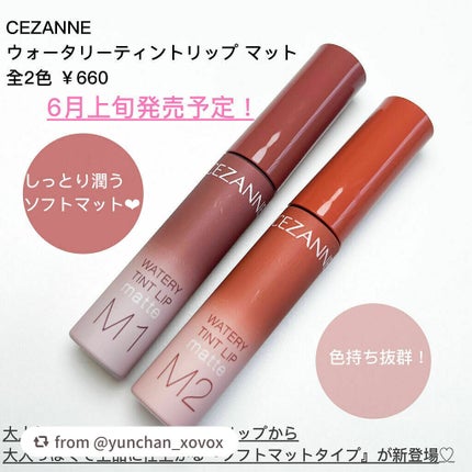 ウォータリーティントリップ マット/CEZANNE/リップティントを使ったクチコミ(2枚目)