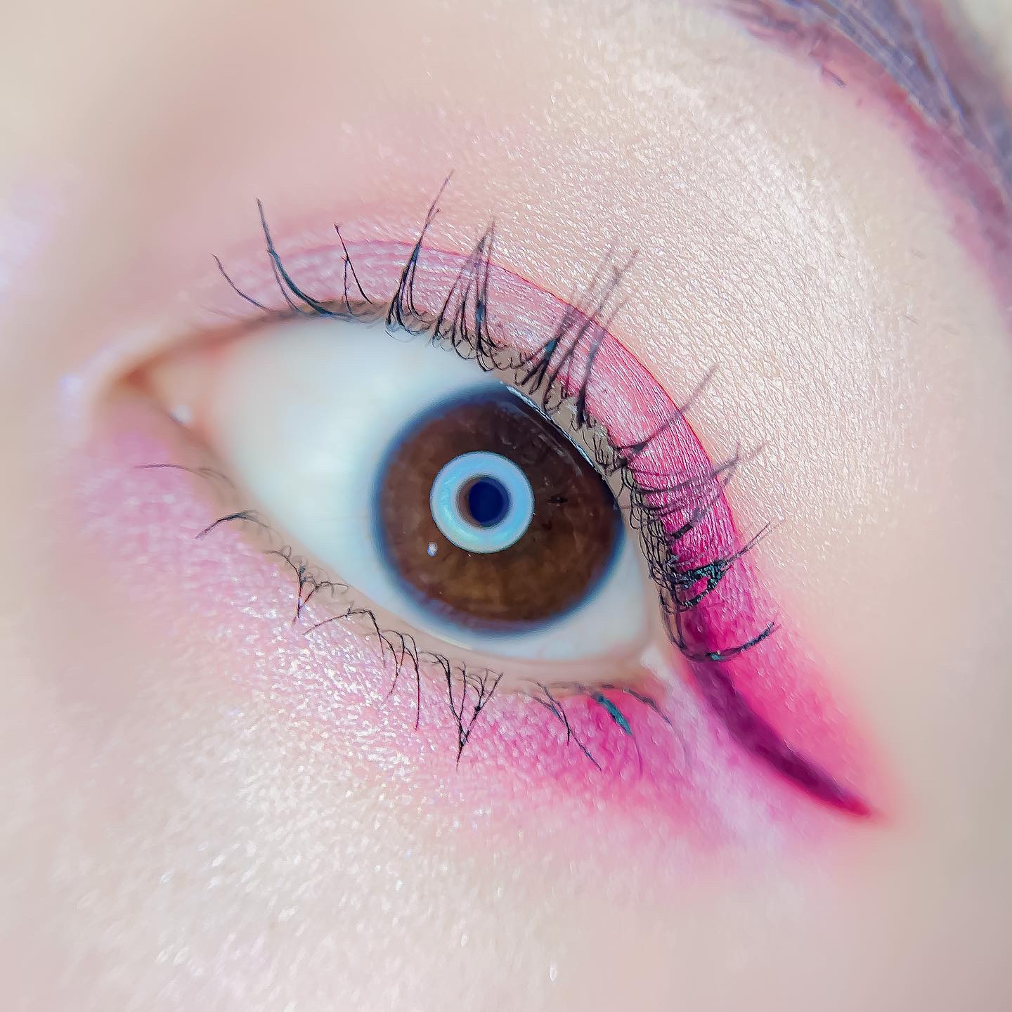 【旧】サンク クルール クチュール/Dior/アイシャドウパレットを使ったクチコミ（3枚目）