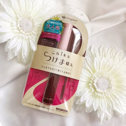 ツーステップマスカラWP チェリーブラウン/キングダム/マスカラを使ったクチコミ(1枚目)