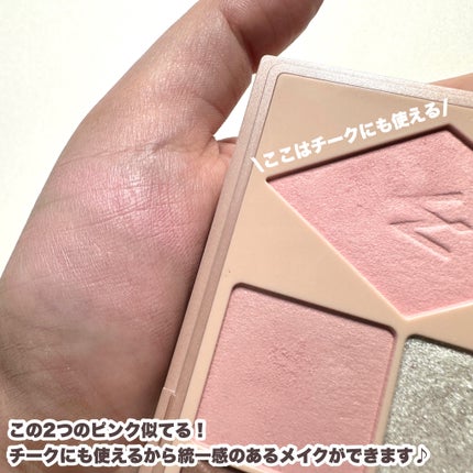 ウォンジョンヨ W デイリームードアップパレット /Wonjungyo/アイシャドウパレットを使ったクチコミ(8枚目)