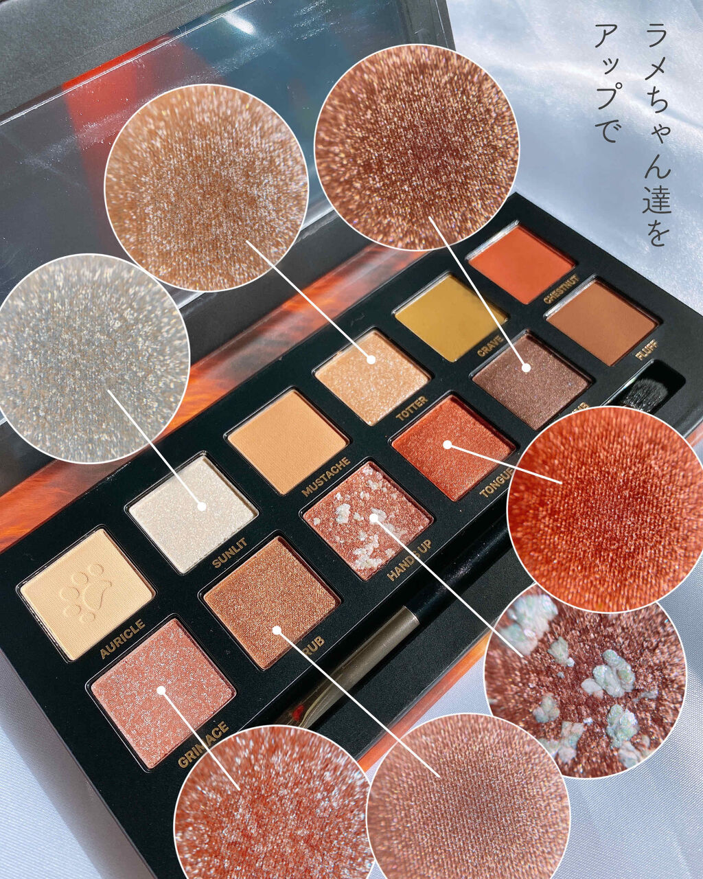 エクスプローラ12色 動物アイシャドウパレット｜PERFECT DIARYの使い方