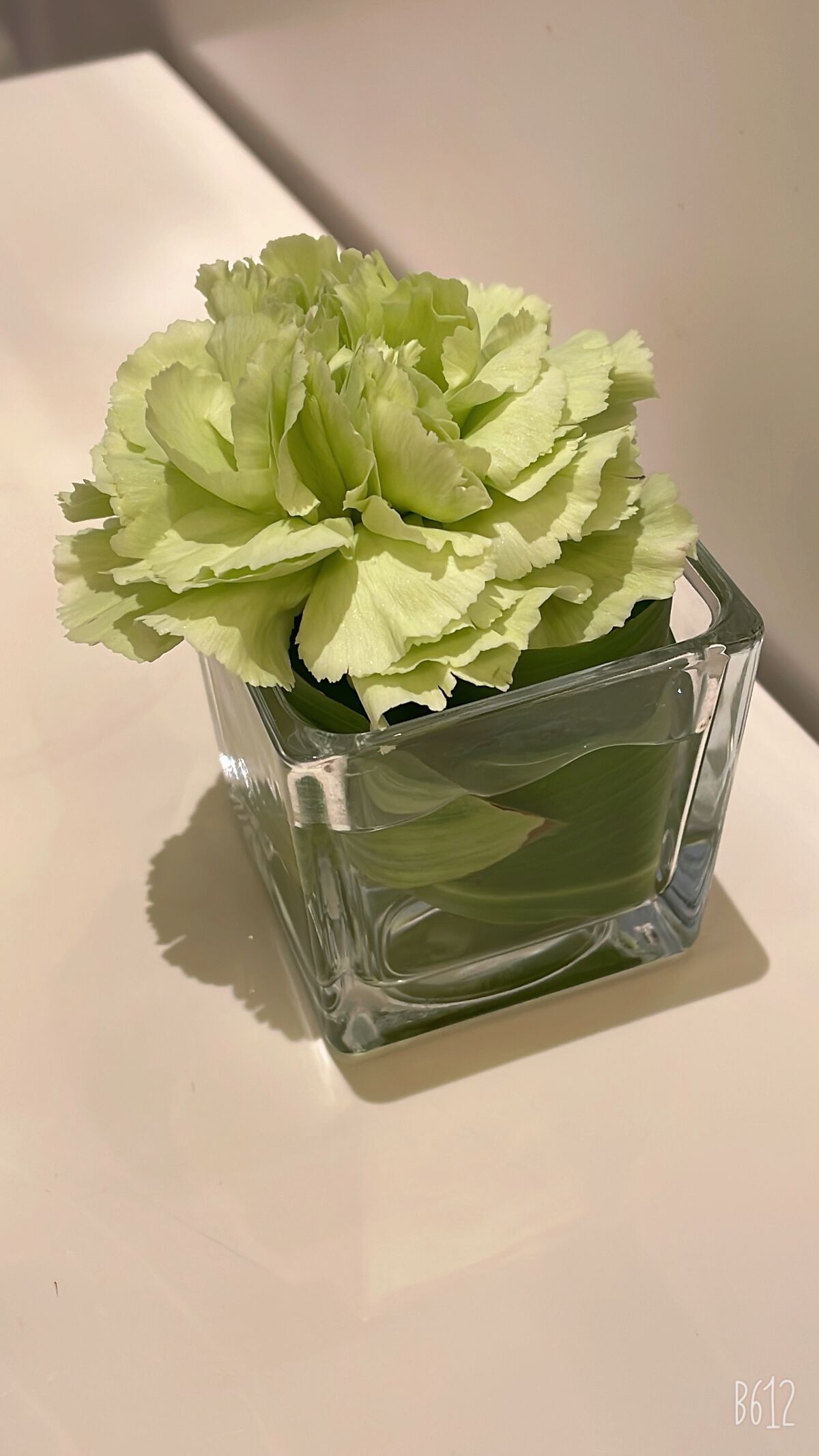 7プレミアムフェイシャルシートマスク/セブンプレミアム/その他を使ったクチコミ（1枚目）