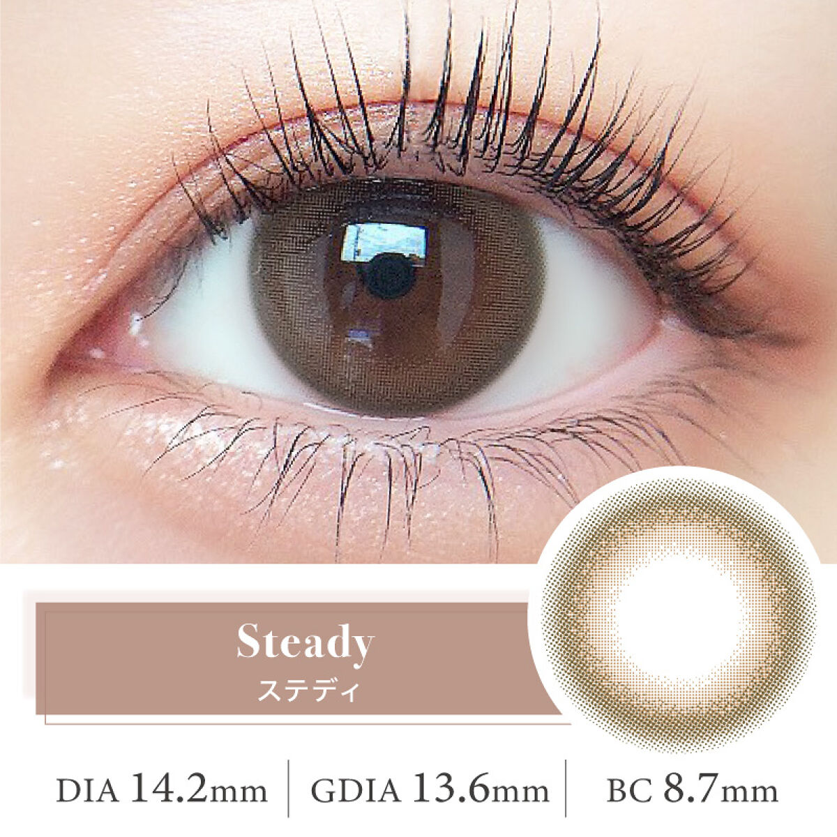 ルイ バイ カラーマジョリティー  ステディ