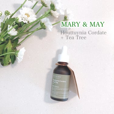 Houttuynia Cordata + Tea Tree Serum/MARY&MAY/洗顔フォームを使ったクチコミ（1枚目）