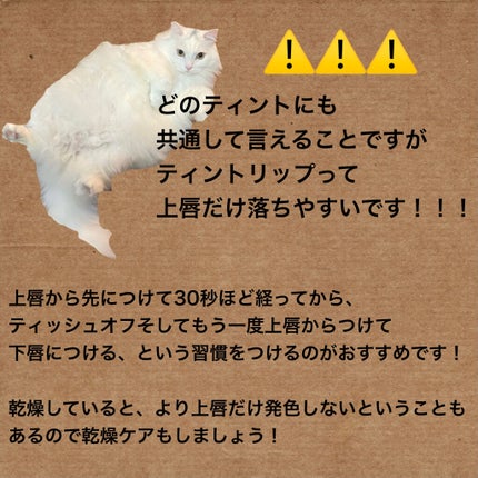 クリアカバークッション/rom&nd/クッションファンデーションを使ったクチコミ(7枚目)