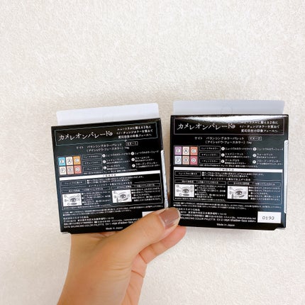 バランシングカラーパレット/KATE/アイシャドウパレットを使ったクチコミ(5枚目)