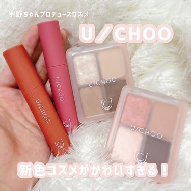 WONDER LIP TINT/U/CHOO/口紅を使ったクチコミ（1枚目）