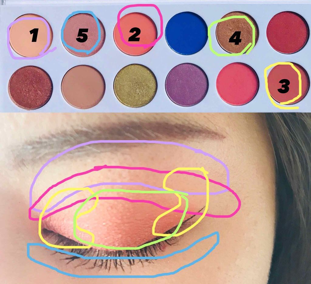 カイリー コスメティック ザ ロイヤルピーチパレット/Kylie Cosmetics/アイシャドウパレットを使ったクチコミ（3枚目）